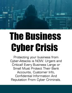 The Business Cyber Crisis