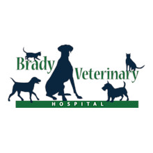 Brady logo