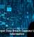 .ai Domains Surge Past .com for First Time